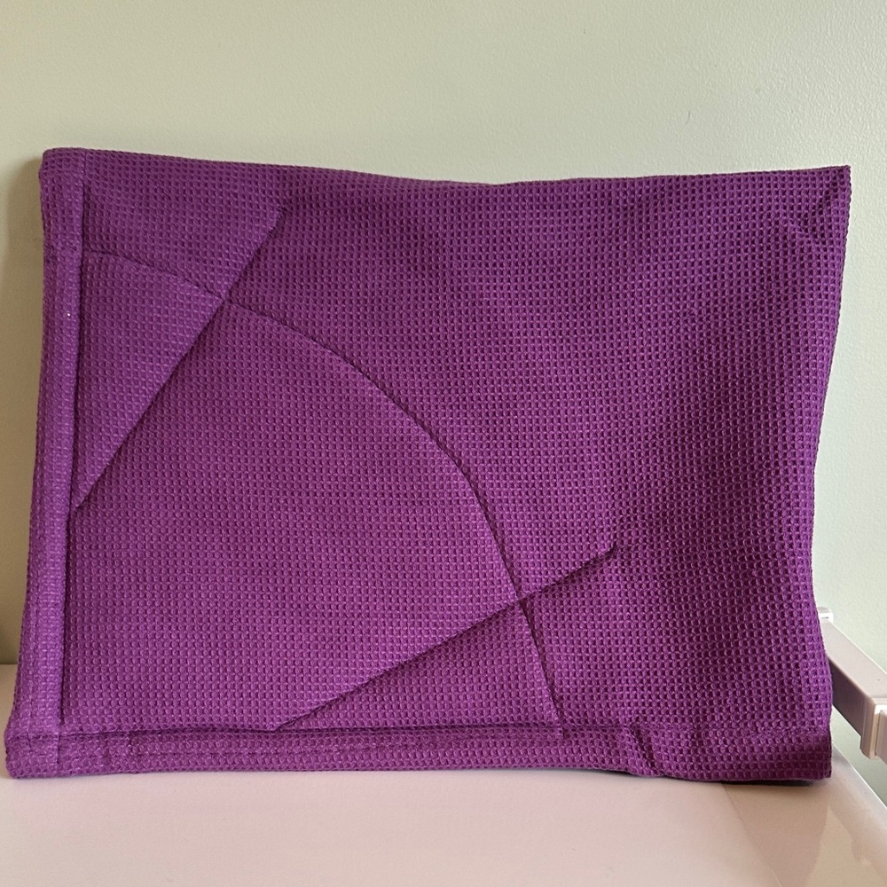Rachel Ray moppine oven mitt NWOT